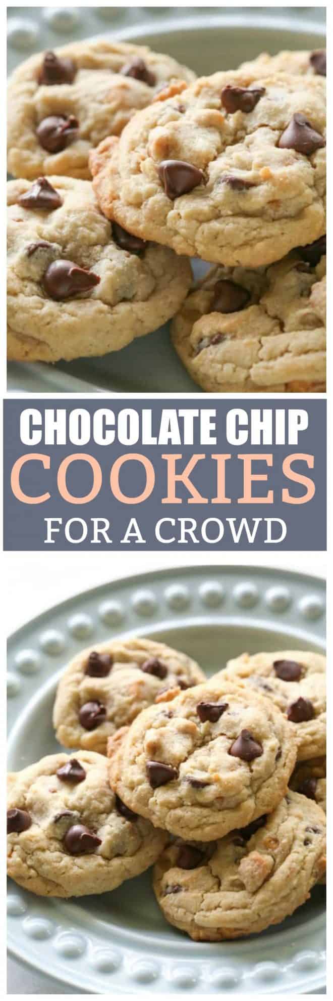 Liberty Square Chocolate Chip Cookies - The Girl Who Ate Everything