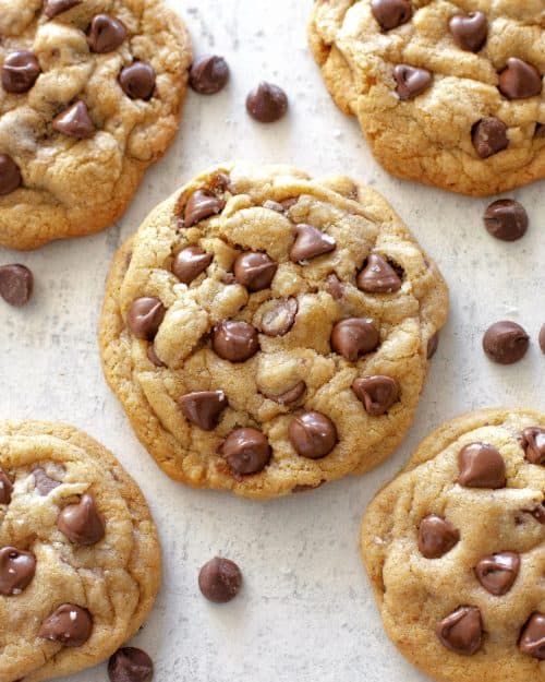 My Big, Fat, Chewy Chocolate Chip Cookies - The Girl Who Ate Everything