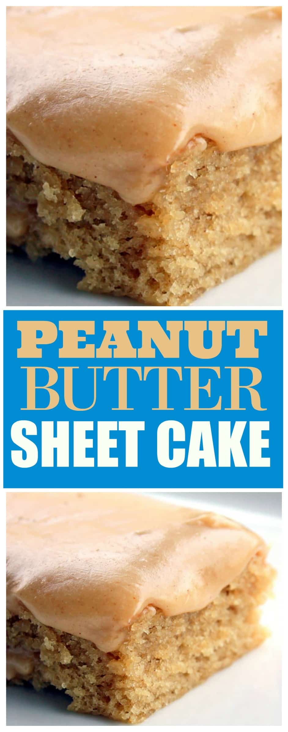 This Peanut Butter Sheet Cake is a moist sheet cake topped with a gooey peanut butter glaze. Peanut butter lovers, this is your dessert! #peanut #butter #cake #recipe #sheet