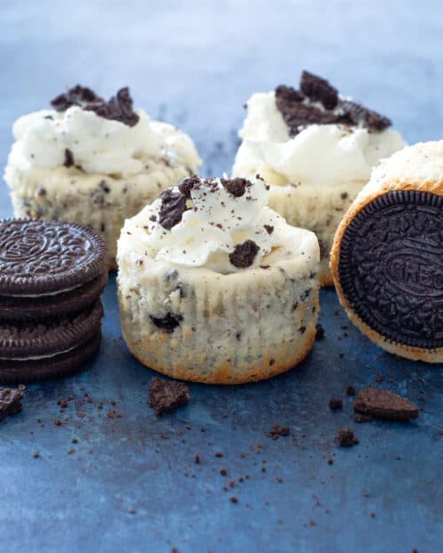 Mini Oreo Cheesecake | The Girl Who Ate Everything