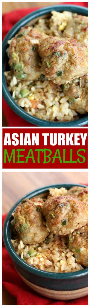 Asian Turkey Meatballs - The Girl Who Ate Everything