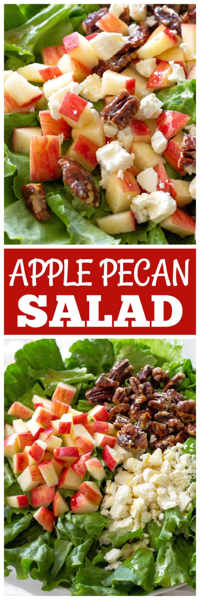 Apple Pecan Salad -the Girl Who Ate Everything