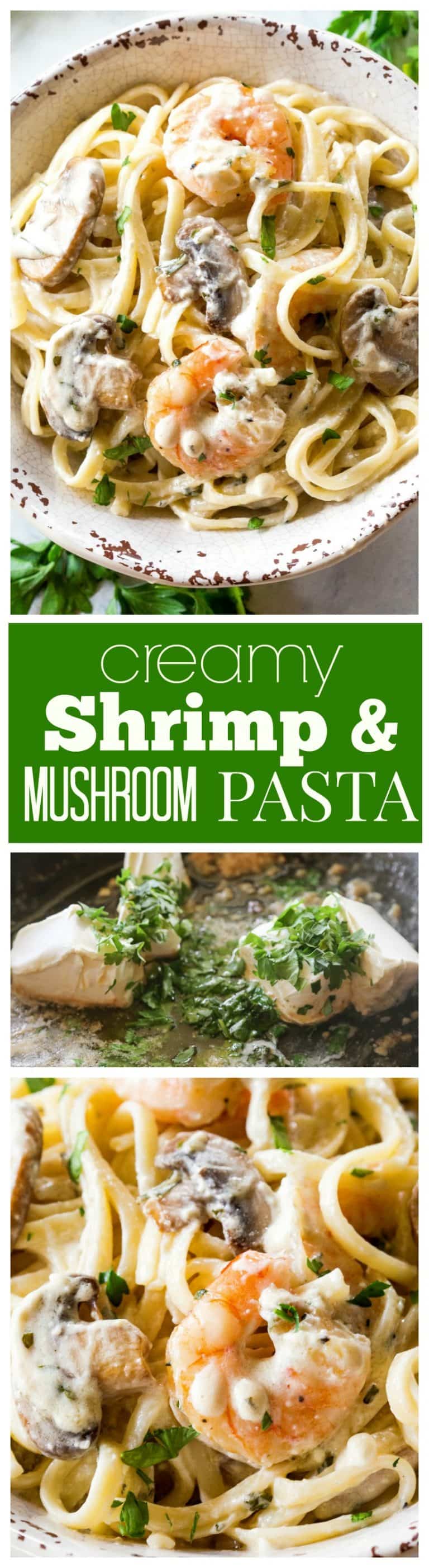 Creamy Shrimp and Mushroom Pasta - The Girl Who Ate Everything