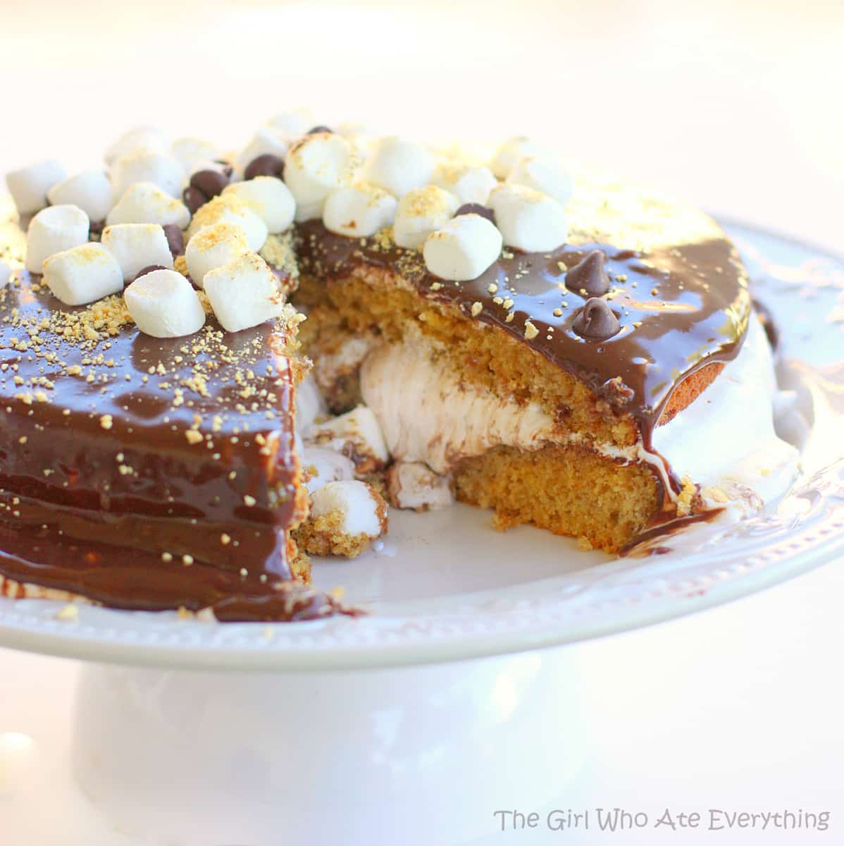 Scrumptious S'mores Layer Cake Recipe — Bite Me More