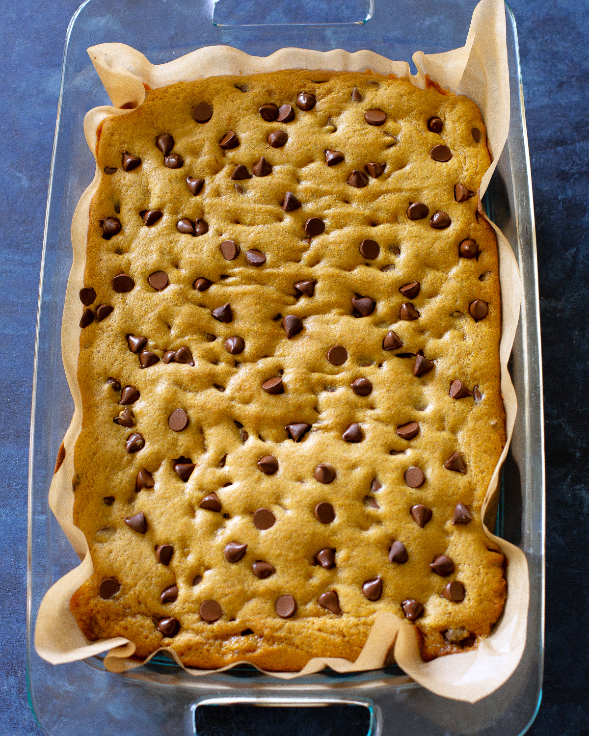 pumpkin chocolate chip bars