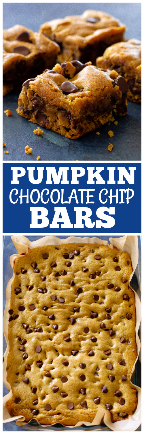 pumpkin chocolate chip bars