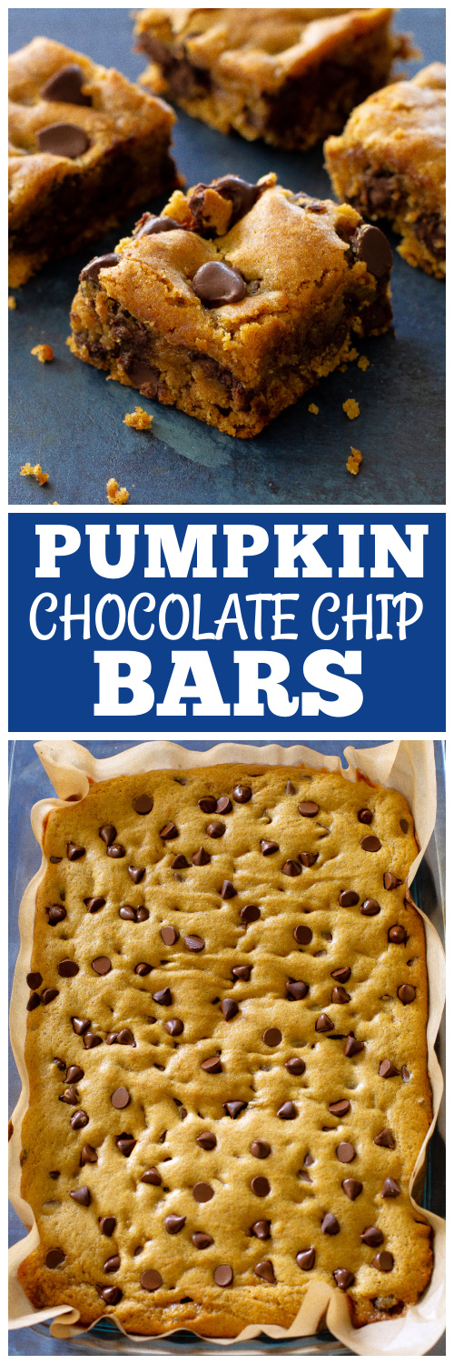 pumpkin chocolate chip bars