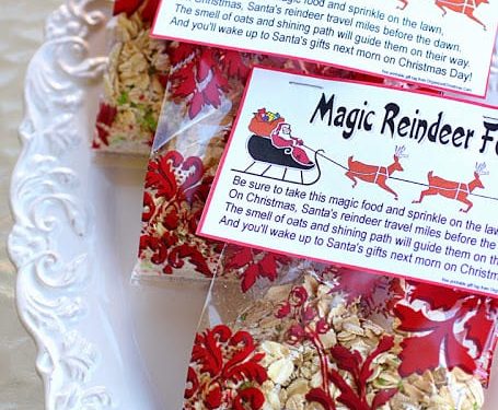 Magic Reindeer Food - The Idea Room