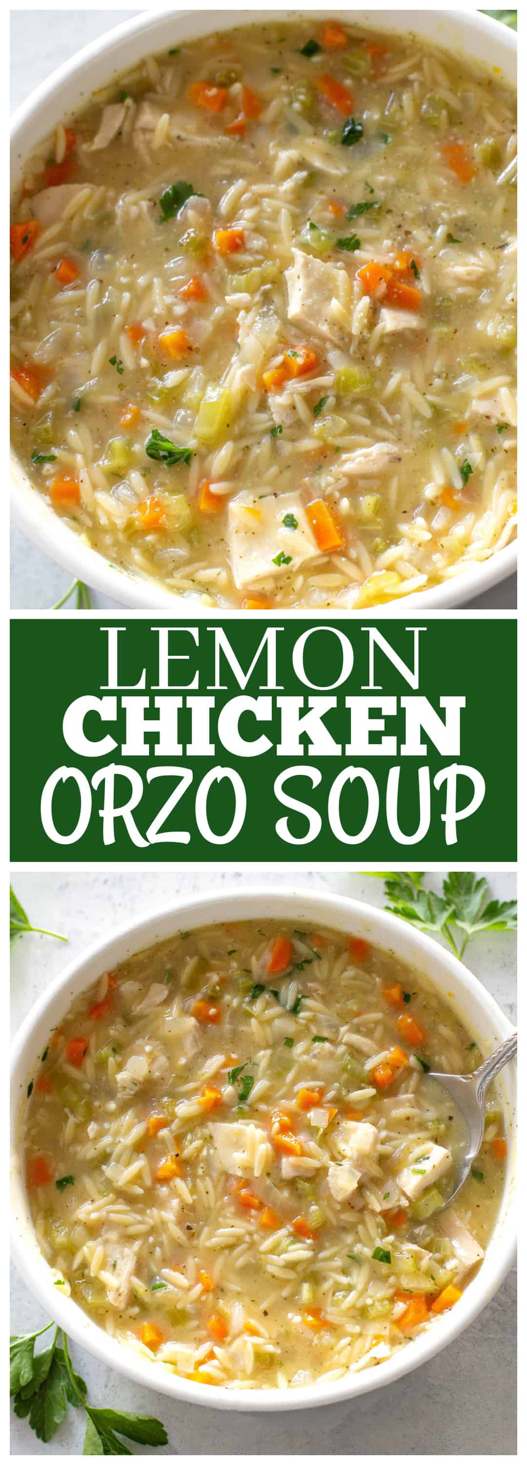 Lemon Chicken Orzo Soup Recipe - The Girl Who Ate Everything