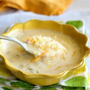 Monterey Jack Cheese Soup - The Girl Who Ate Everything