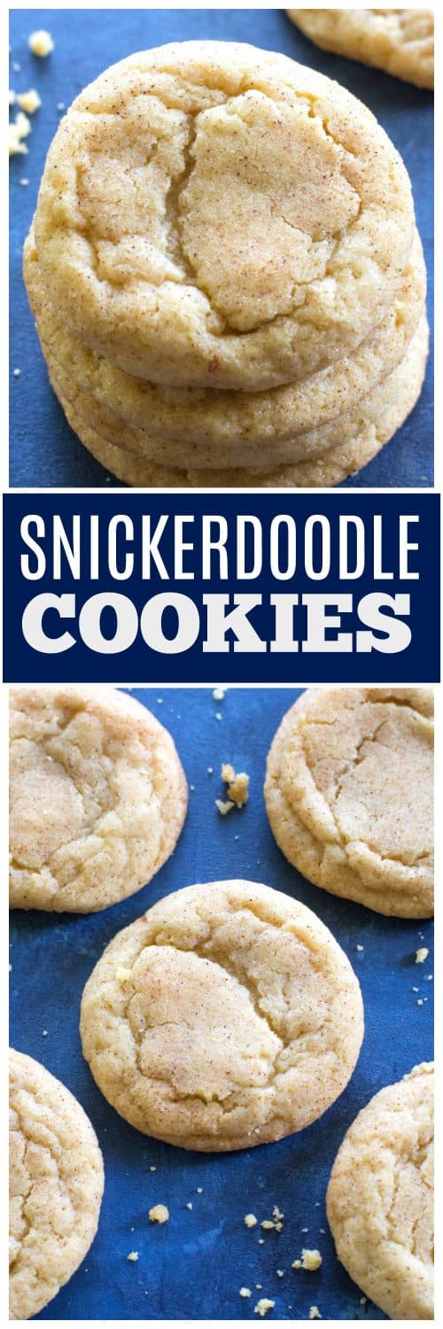 Thick Snickerdoodles Recipe - The Girl Who Ate Everything