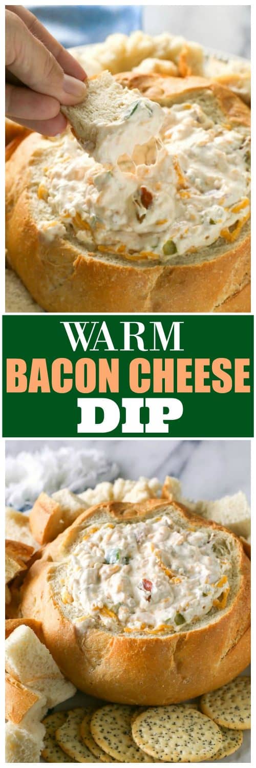 Warm Bacon Cheese Dip - The Girl Who Ate Everything