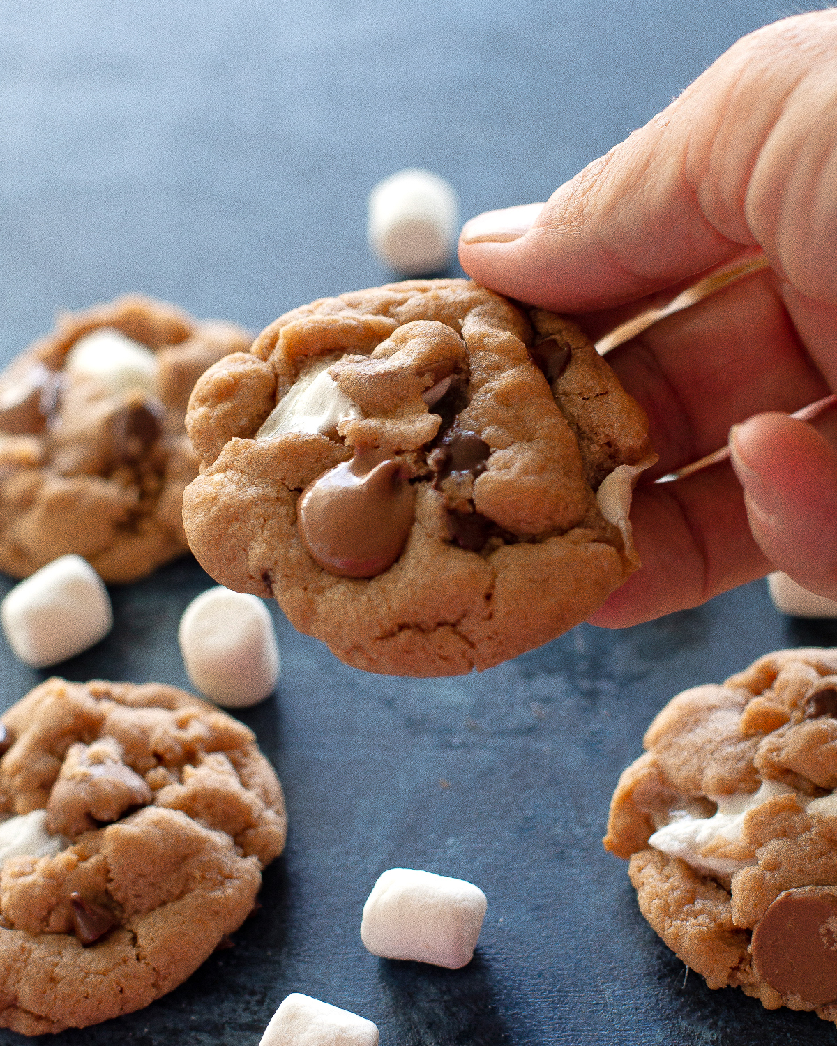 hot chocolate cookies