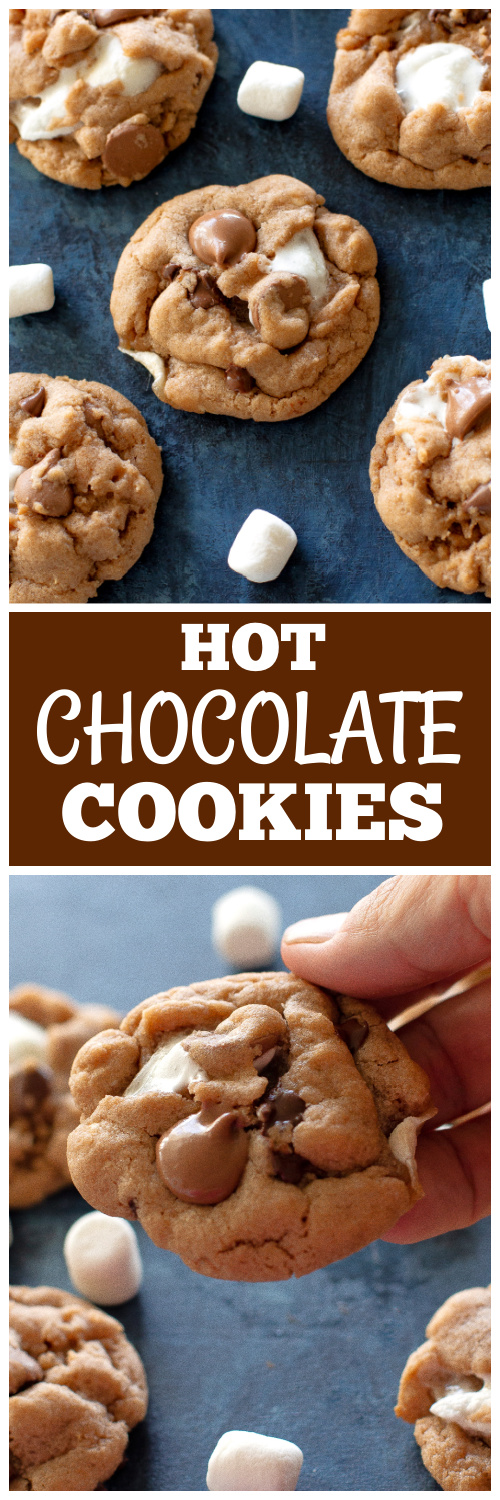 hot chocolate cookies