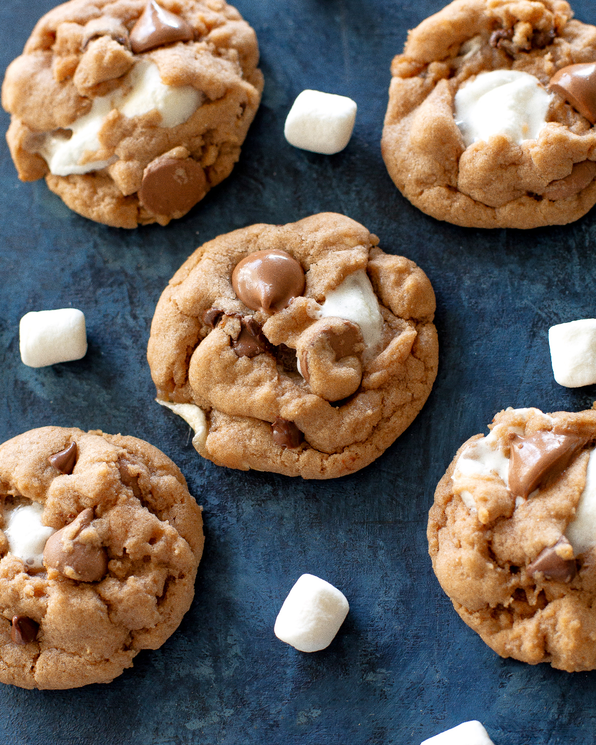 hot chocolate cookies