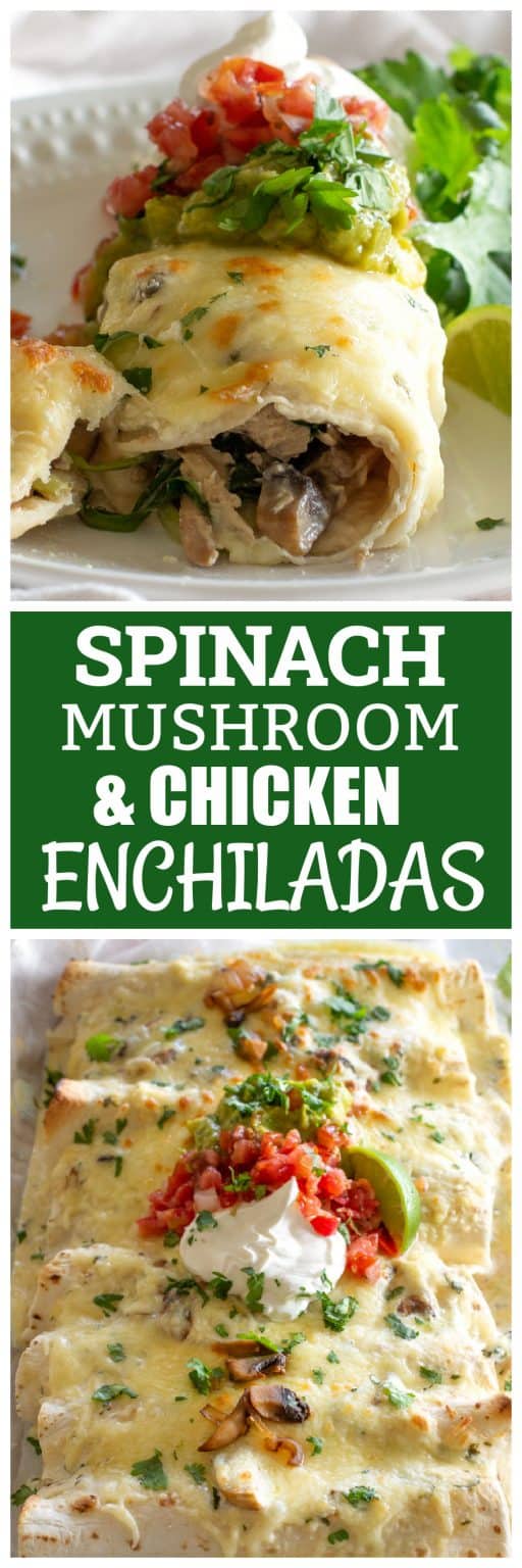 Mushroom, Spinach, & Chicken Enchiladas - The Girl Who Ate Everything