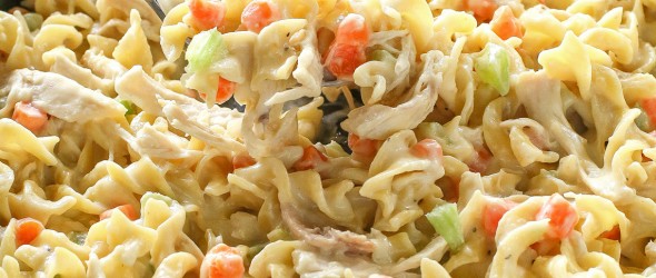 Creamy Chicken Noodle Skillet - dinner in under 20 minutes! the-girl-who-ate-everything.com