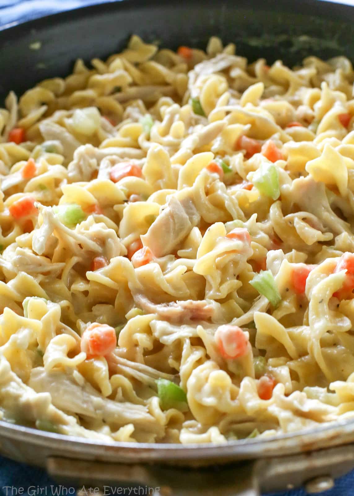 Creamy Chicken Noodle Skillet | The Girl Who Ate Everything