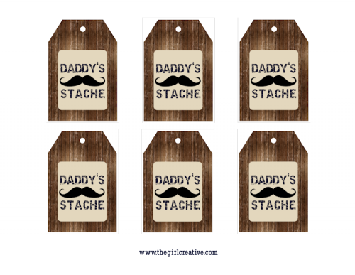 Daddy's Stache Father's Day Gift