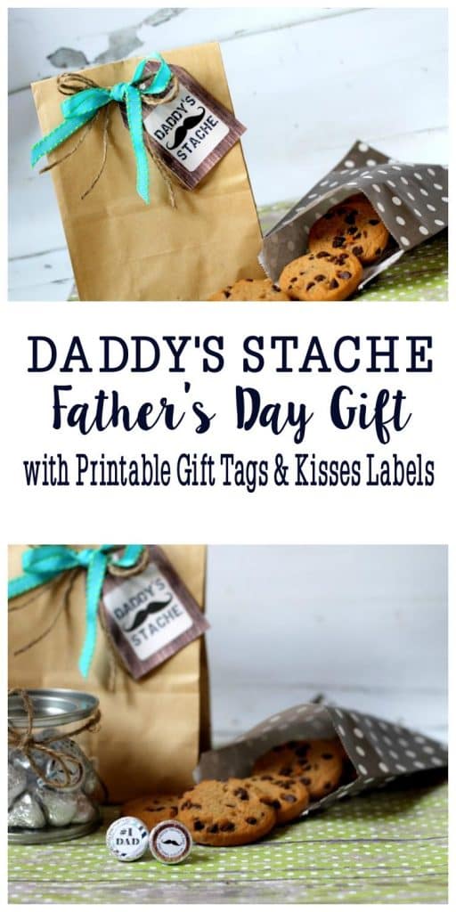 Daddy's Stache Father's Day Gift