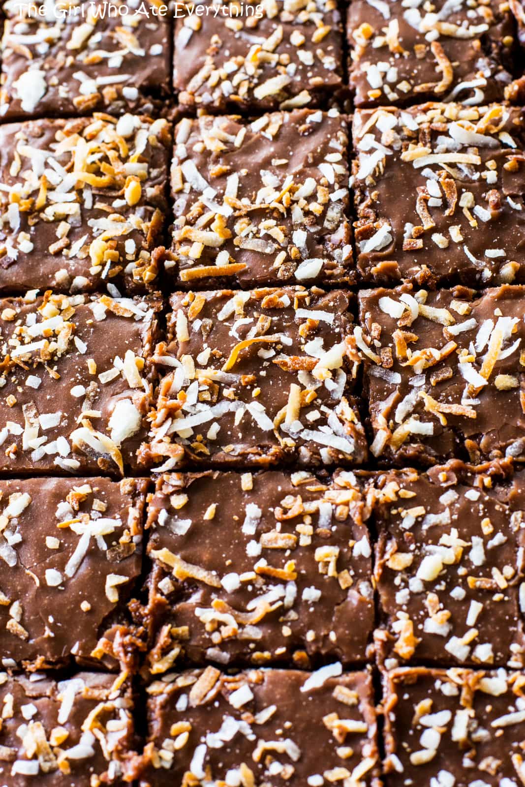 Chocolate Coconut Sheet Cake The Girl Who Ate Everything 1564