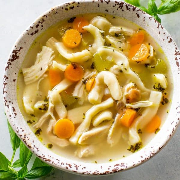 The Best Homemade Chicken Noodle Soup Recipe (+VIDEO) - The Girl Who ...