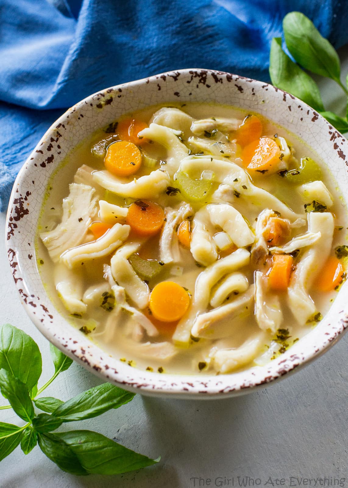 Thick Chicken Noodle Soup With Egg Noodles