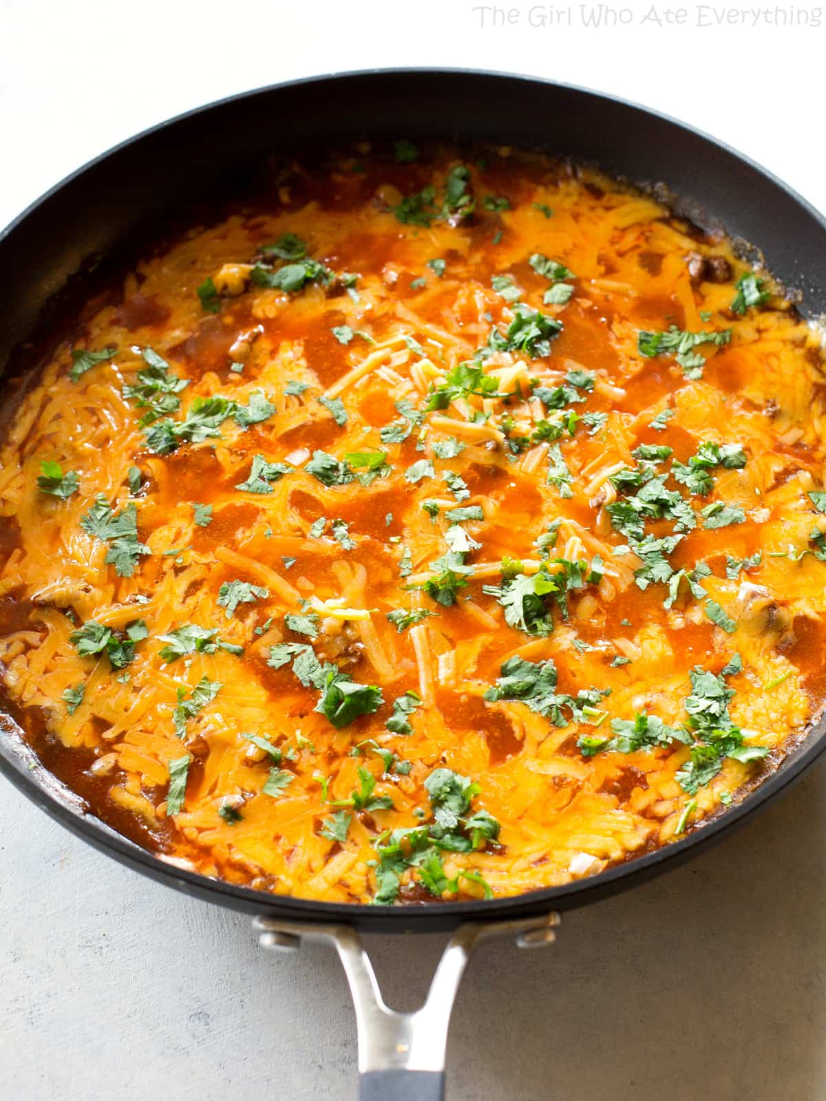 Beef Enchilada Dip Recipe - The Girl Who Ate Everything