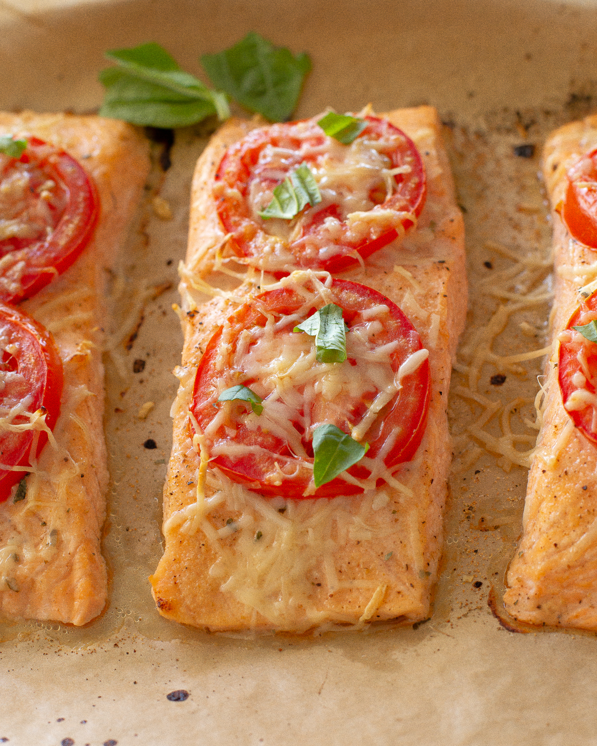 salmon filets with tomato