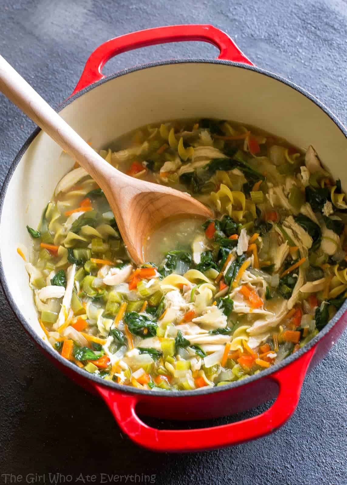Easy Organic Vegetable Soup Recipe