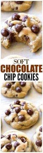 The Best Soft Chocolate Chip Cookies - The Girl Who Ate Everything