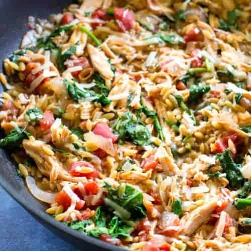 https://www.the-girl-who-ate-everything.com/wp-content/uploads/2018/06/one-pan-chicken-spinach-orzo-001-500x500.jpg