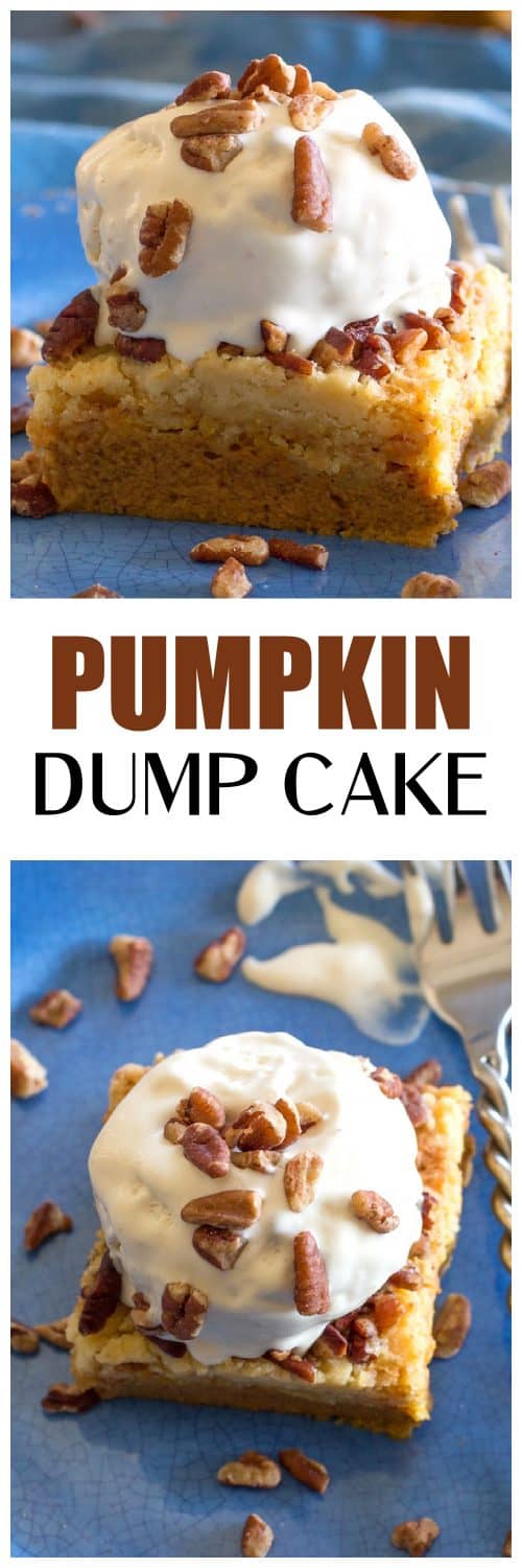 Easy Pumpkin Dump Cake (+VIDEO) - The Girl Who Ate Everything