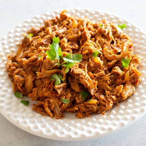 Easy Shredded Mexican Chicken - The Girl Who Ate Everything