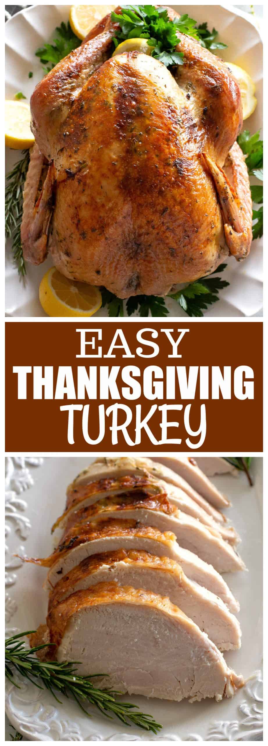 Easy Thanksgiving Turkey - The Girl Who Ate Everything