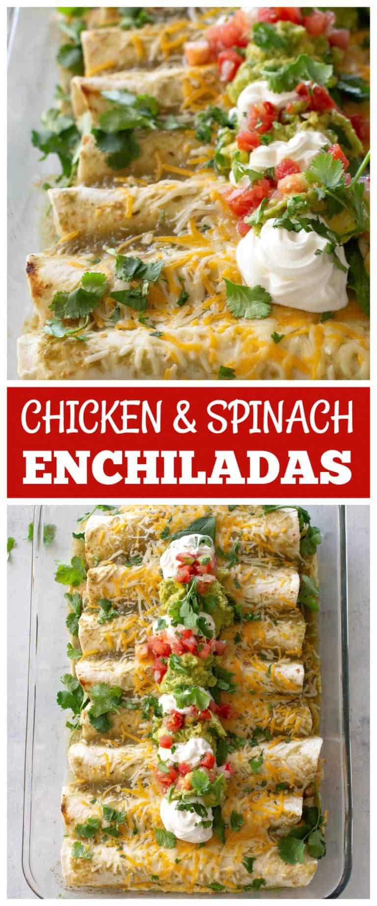 Chicken and Spinach Enchiladas | The Girl Who Ate Everything