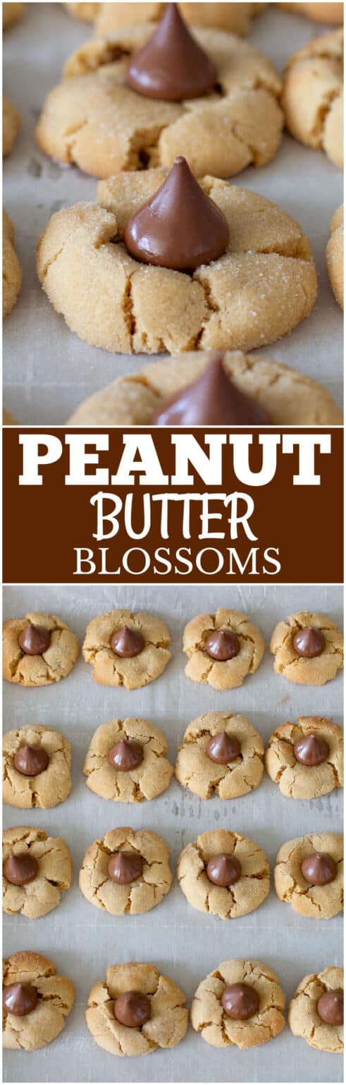 Peanut Butter Blossoms - The Girl Who Ate Everything