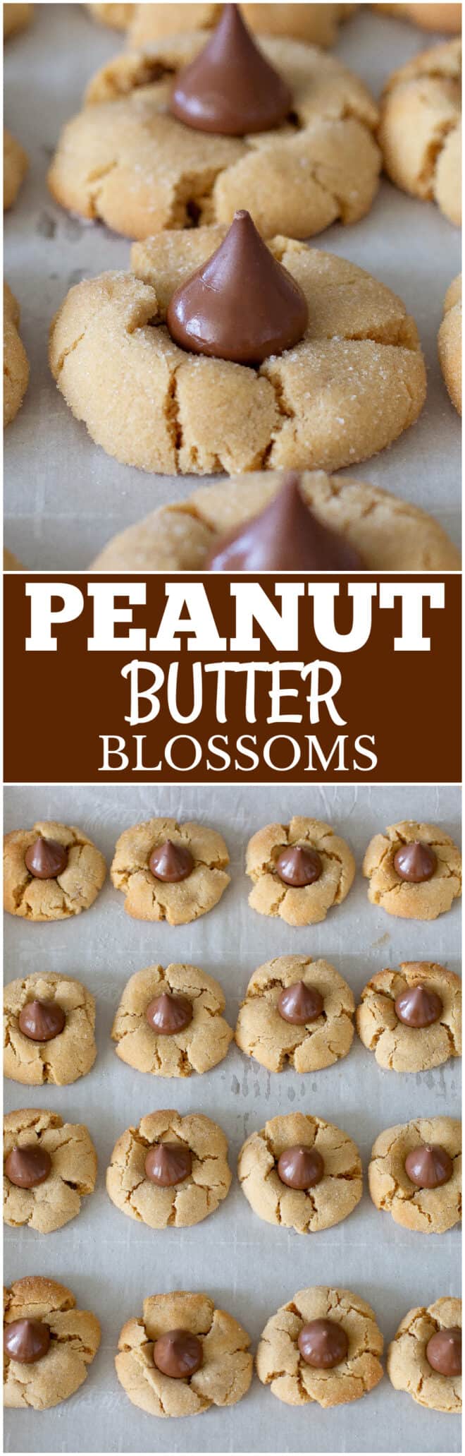 Peanut Butter Blossoms - The Girl Who Ate Everything