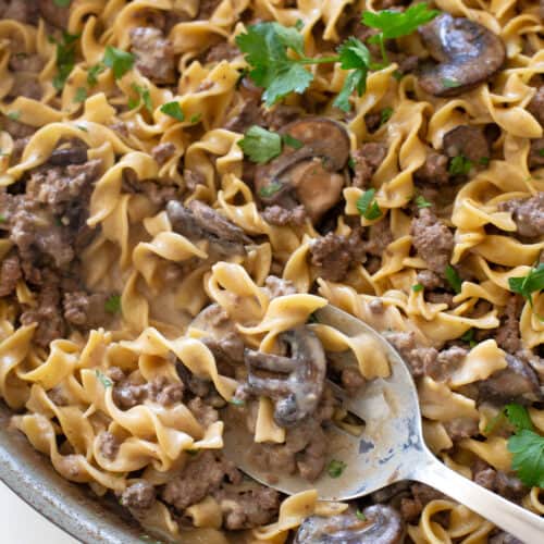 https://www.the-girl-who-ate-everything.com/wp-content/uploads/2023/02/one-pot-beef-stroganoff-06-500x500.jpg