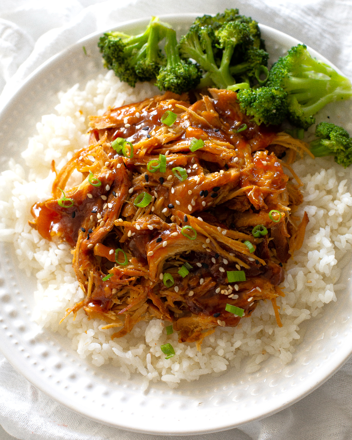 Slow Cooker Teriyaki Chicken