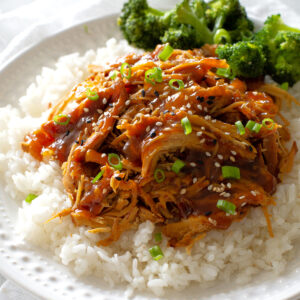 Slow Cooker Teriyaki Chicken