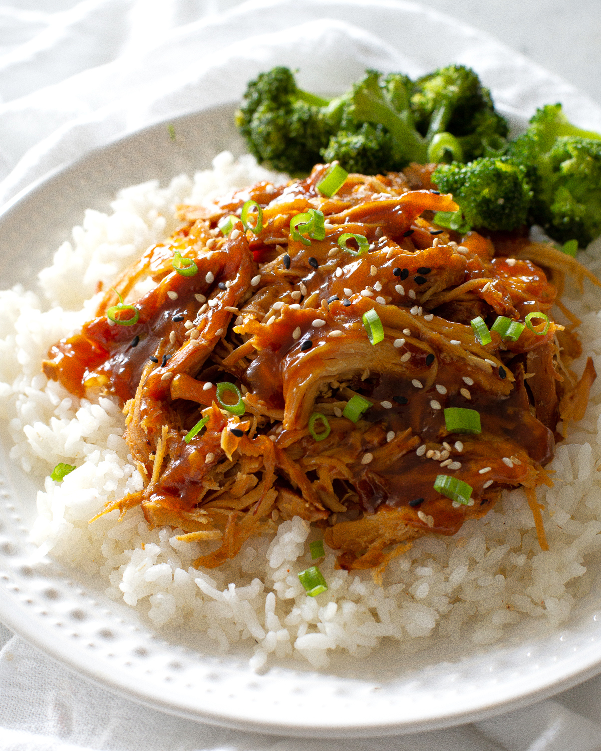 Slow Cooker Teriyaki Chicken