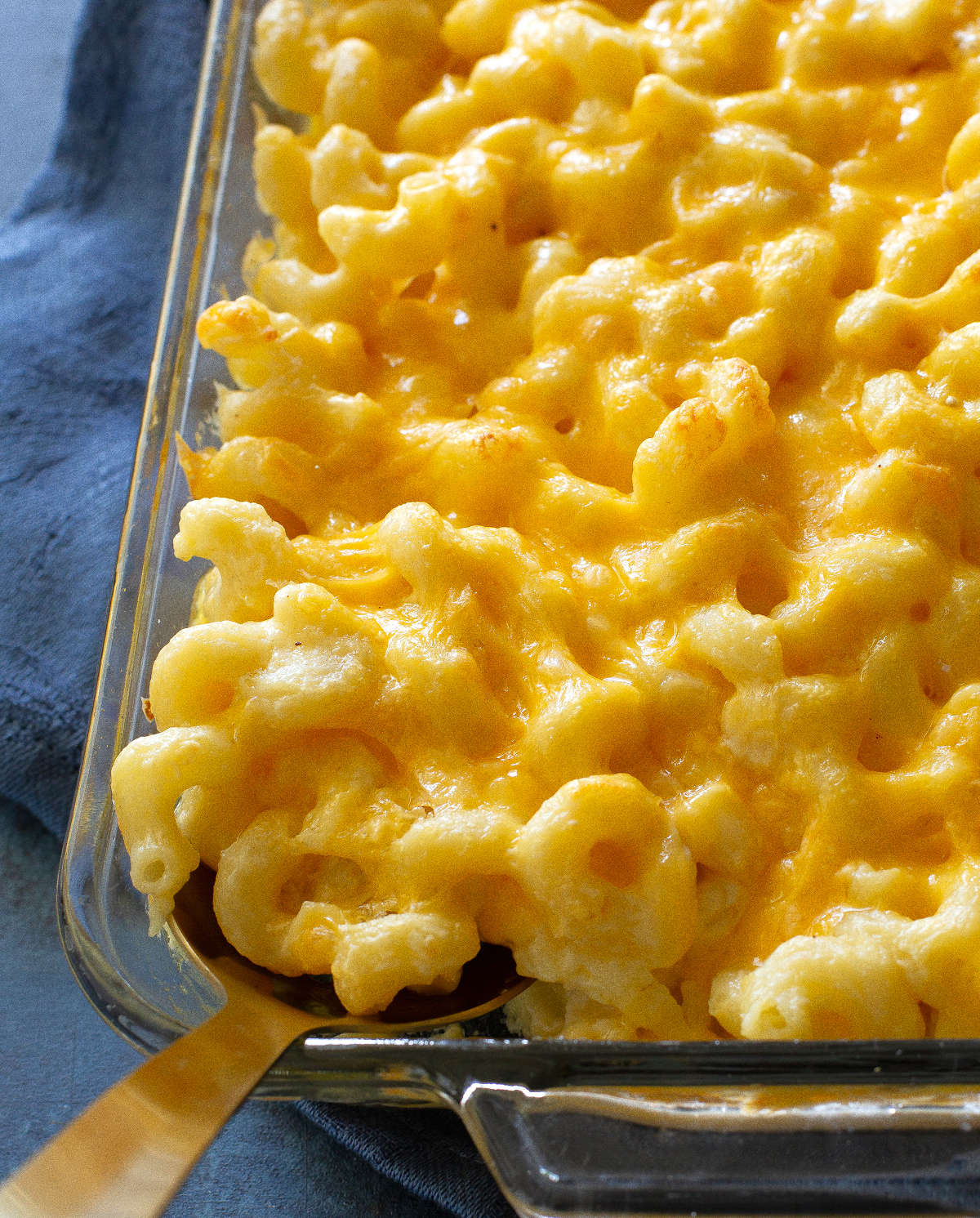 macaroni and cheese in a dish