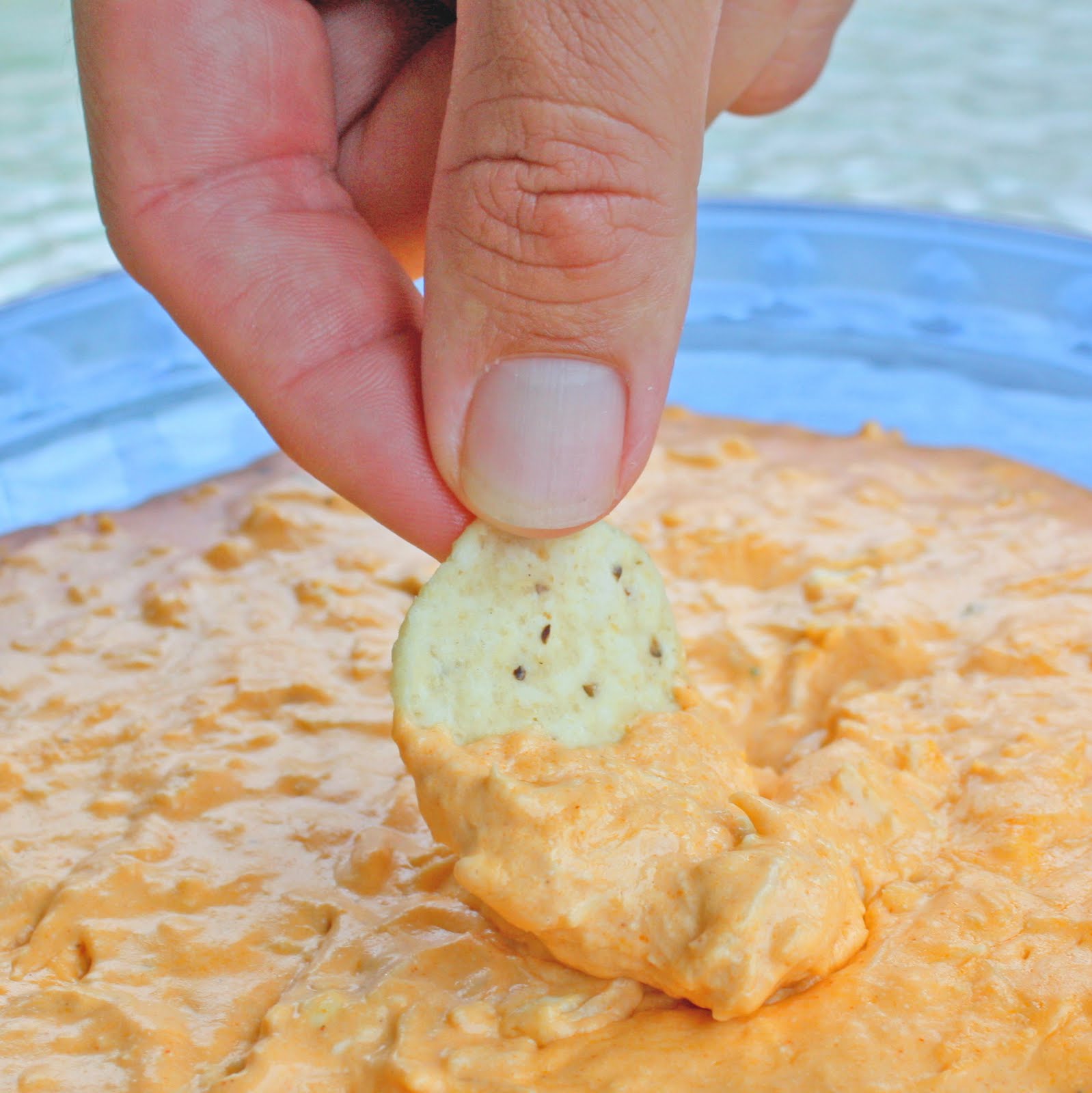 officiel Afståelse Optimisme The Best Buffalo Chicken Dip Recipe - The Girl Who Ate Everything